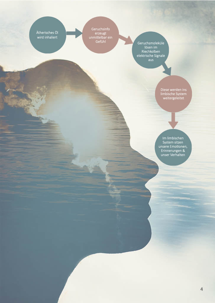 Buch - Ätherische Öle für den Körper